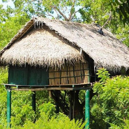 Yala Beddegama Eco Hotell Kataragama Exteriör bild