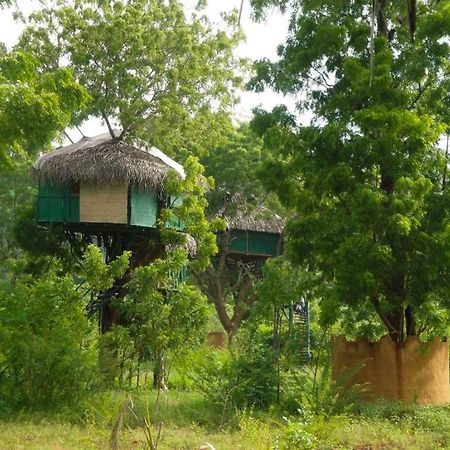 Yala Beddegama Eco Hotell Kataragama Exteriör bild