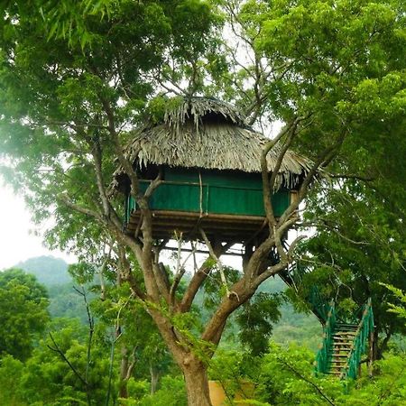 Yala Beddegama Eco Hotell Kataragama Exteriör bild