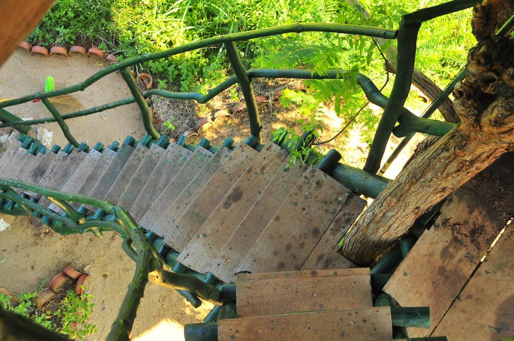 Yala Beddegama Eco Hotell Kataragama Exteriör bild