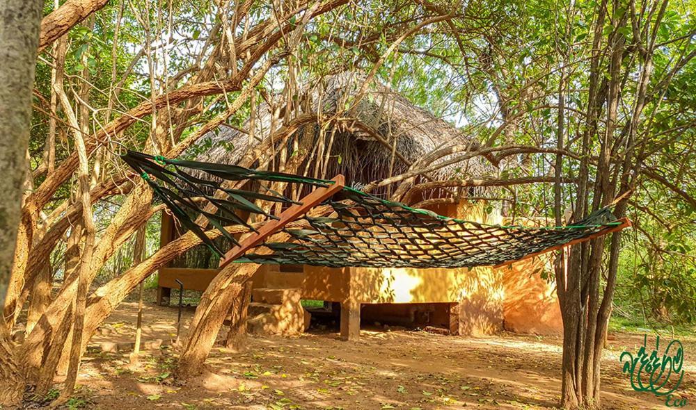 Yala Beddegama Eco Hotell Kataragama Exteriör bild