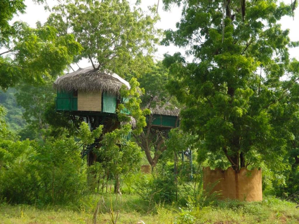 Yala Beddegama Eco Hotell Kataragama Exteriör bild