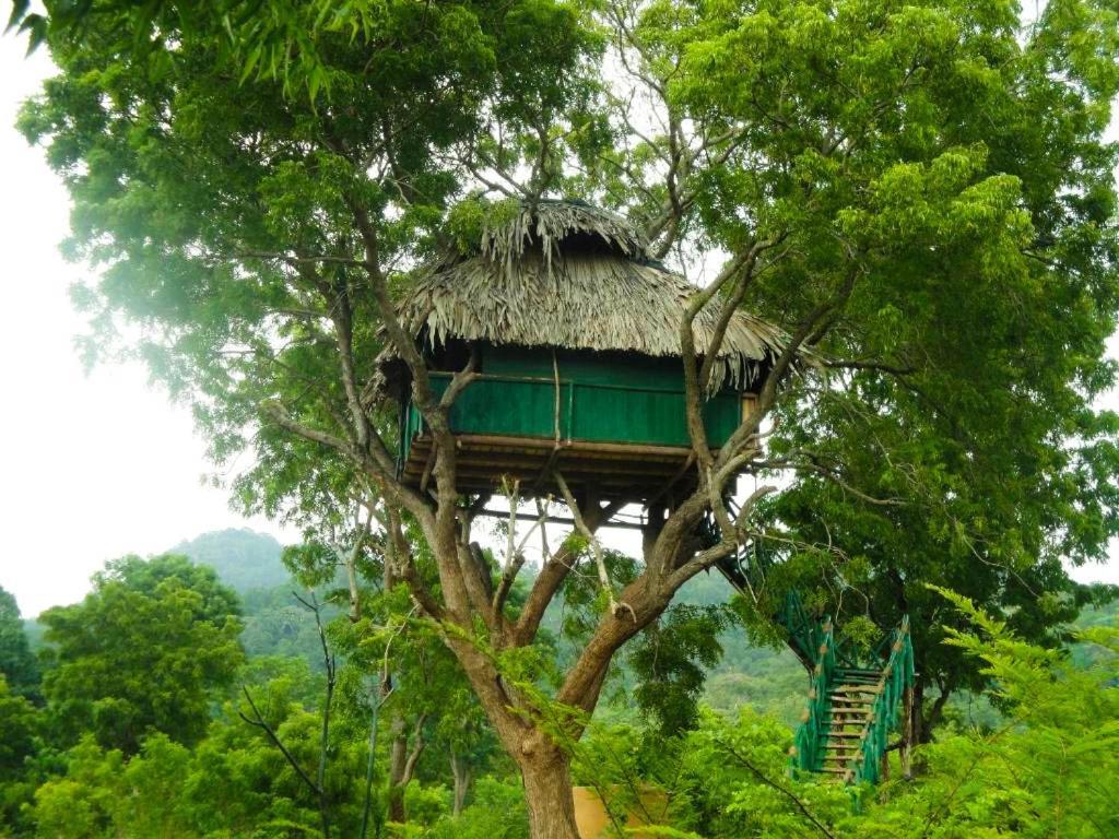 Yala Beddegama Eco Hotell Kataragama Exteriör bild