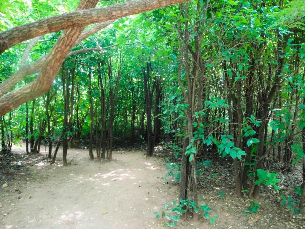 Yala Beddegama Eco Hotell Kataragama Exteriör bild