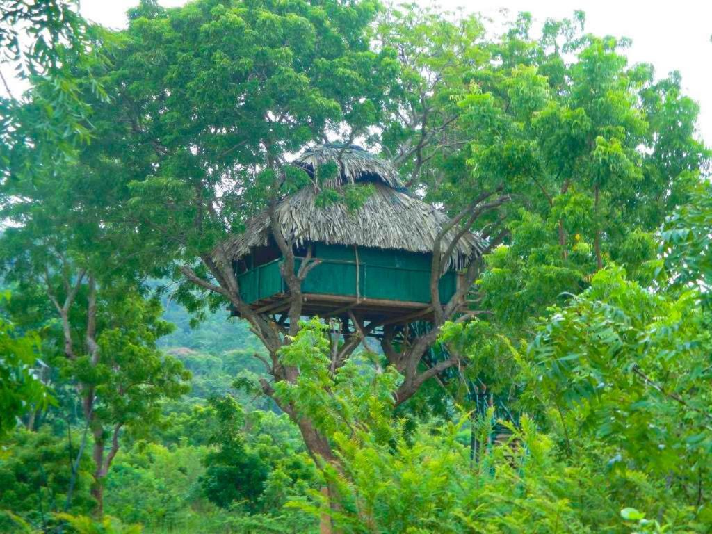 Yala Beddegama Eco Hotell Kataragama Exteriör bild
