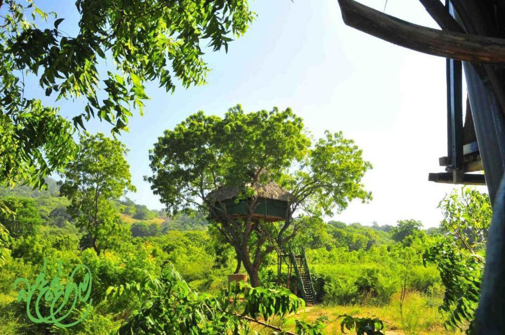 Yala Beddegama Eco Hotell Kataragama Exteriör bild