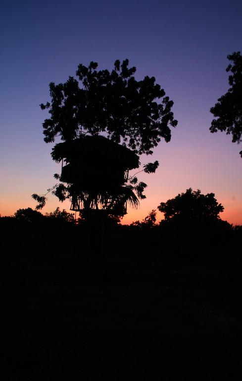 Yala Beddegama Eco Hotell Kataragama Exteriör bild