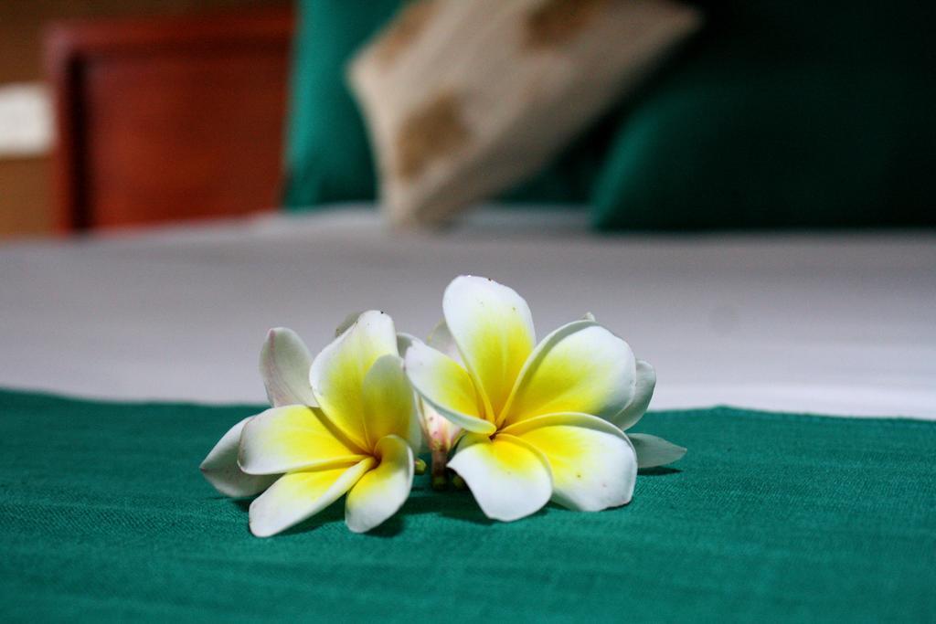 Yala Beddegama Eco Hotell Kataragama Rum bild