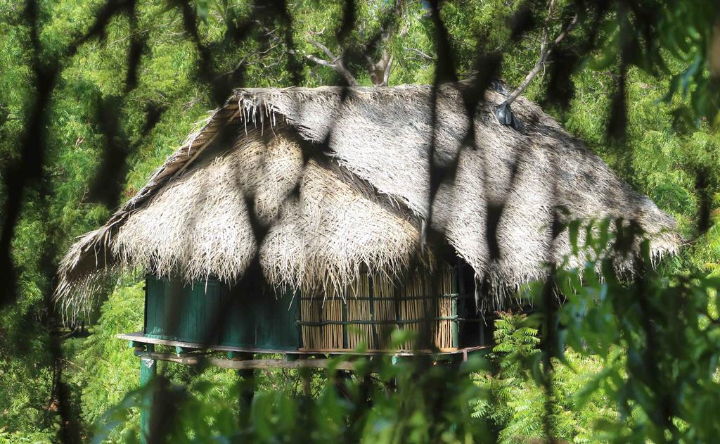 Yala Beddegama Eco Hotell Kataragama Exteriör bild