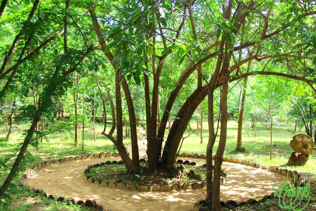 Yala Beddegama Eco Hotell Kataragama Exteriör bild