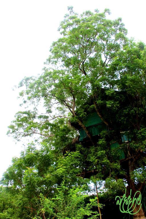 Yala Beddegama Eco Hotell Kataragama Exteriör bild