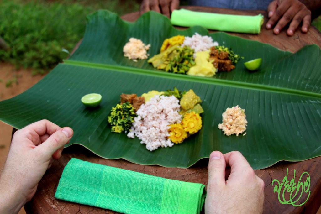 Yala Beddegama Eco Hotell Kataragama Exteriör bild