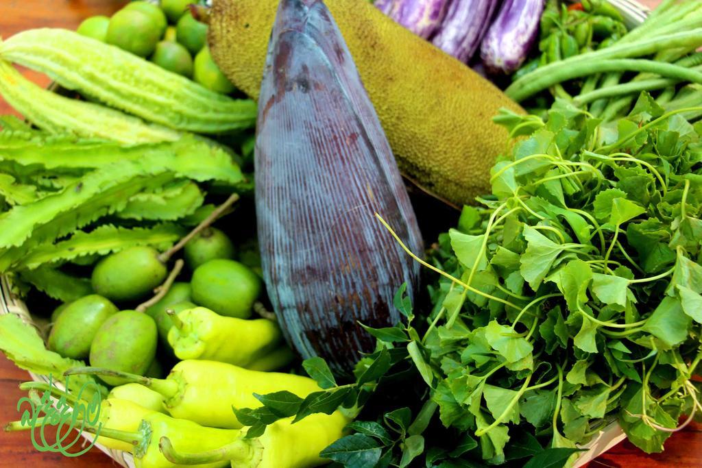Yala Beddegama Eco Hotell Kataragama Exteriör bild