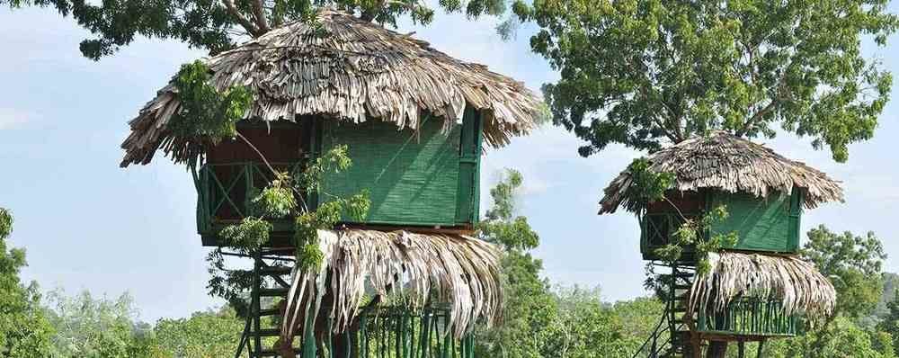 Yala Beddegama Eco Hotell Kataragama Exteriör bild