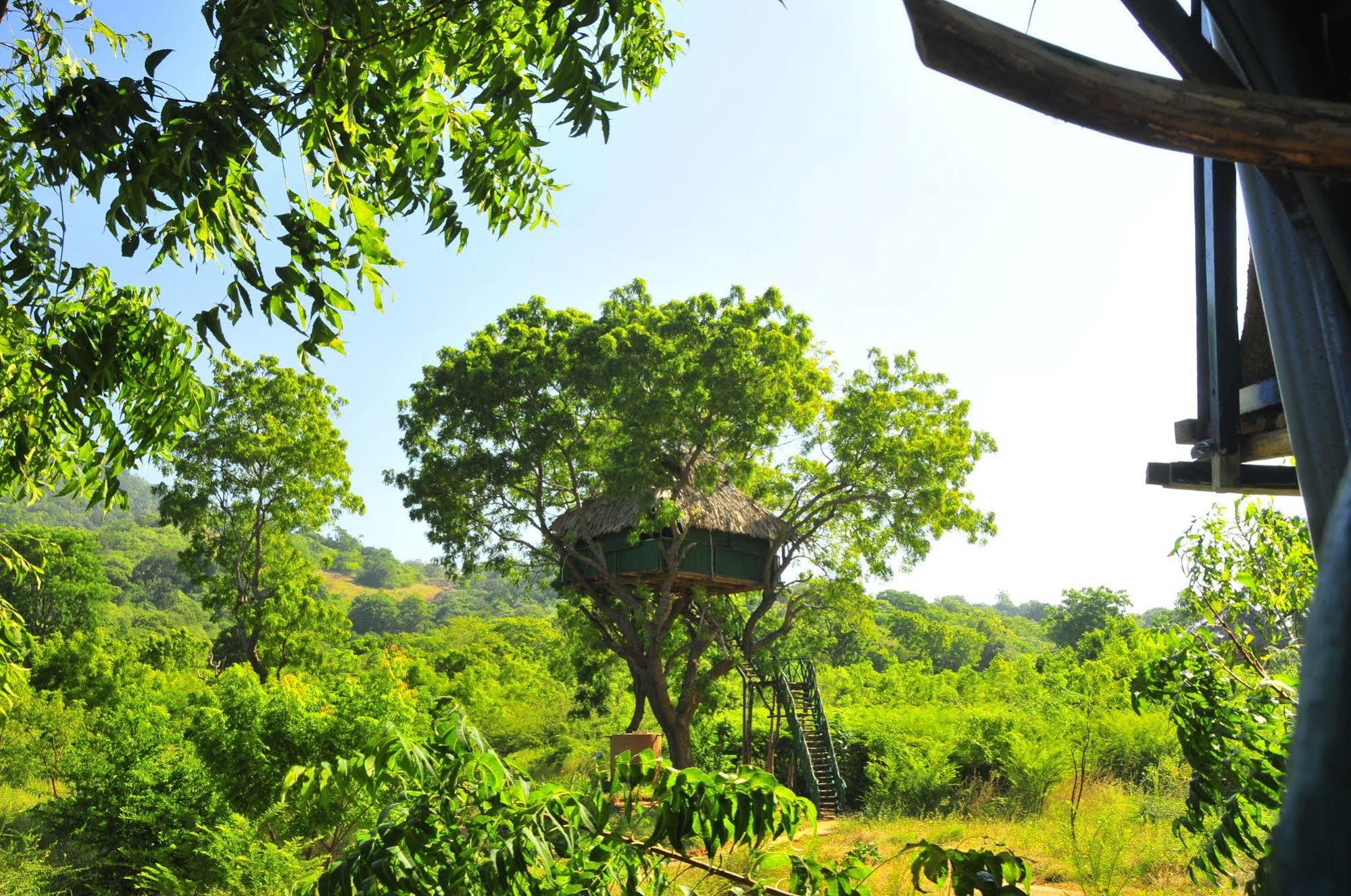 Yala Beddegama Eco Hotell Kataragama Exteriör bild