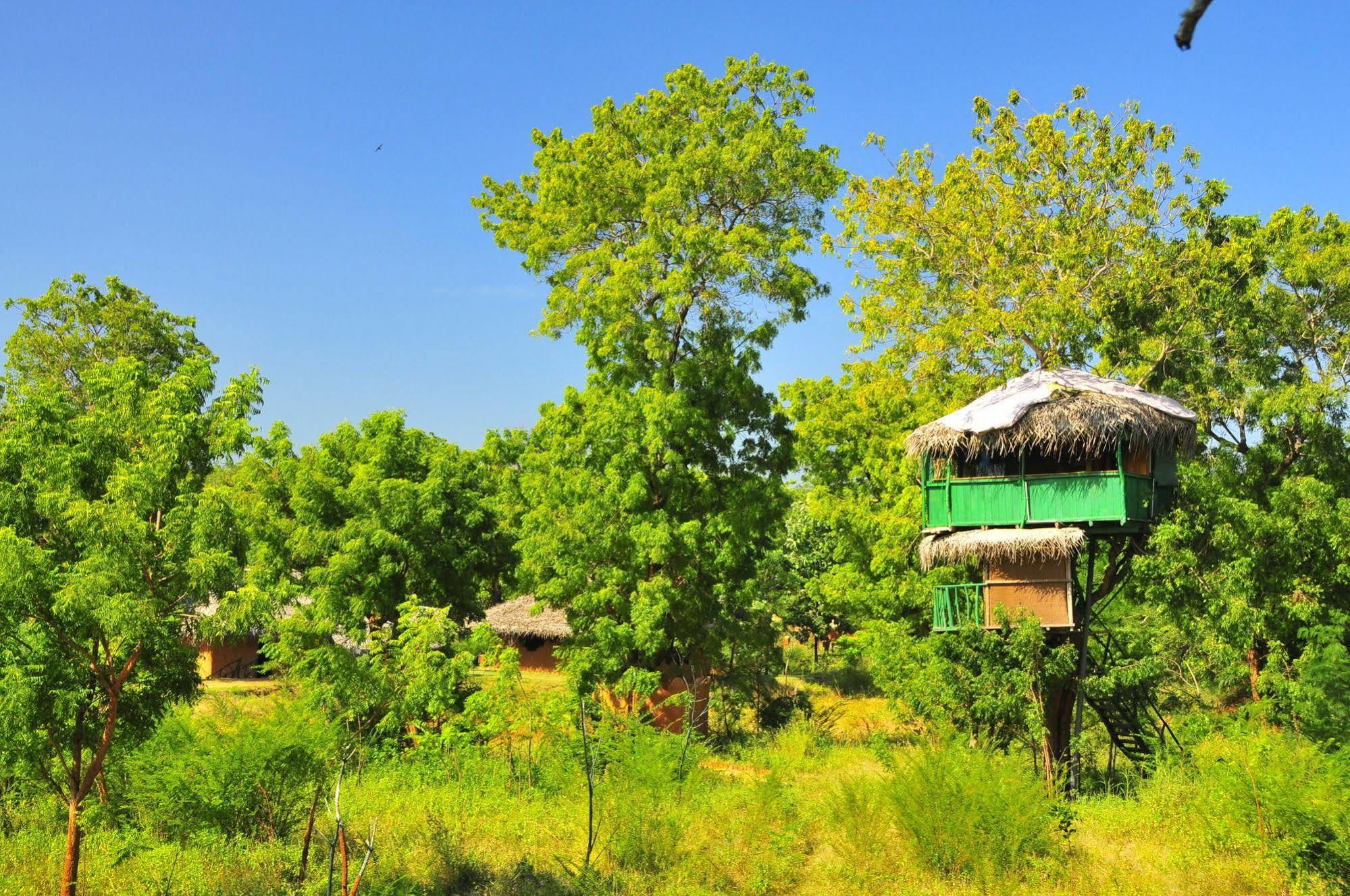 Yala Beddegama Eco Hotell Kataragama Exteriör bild