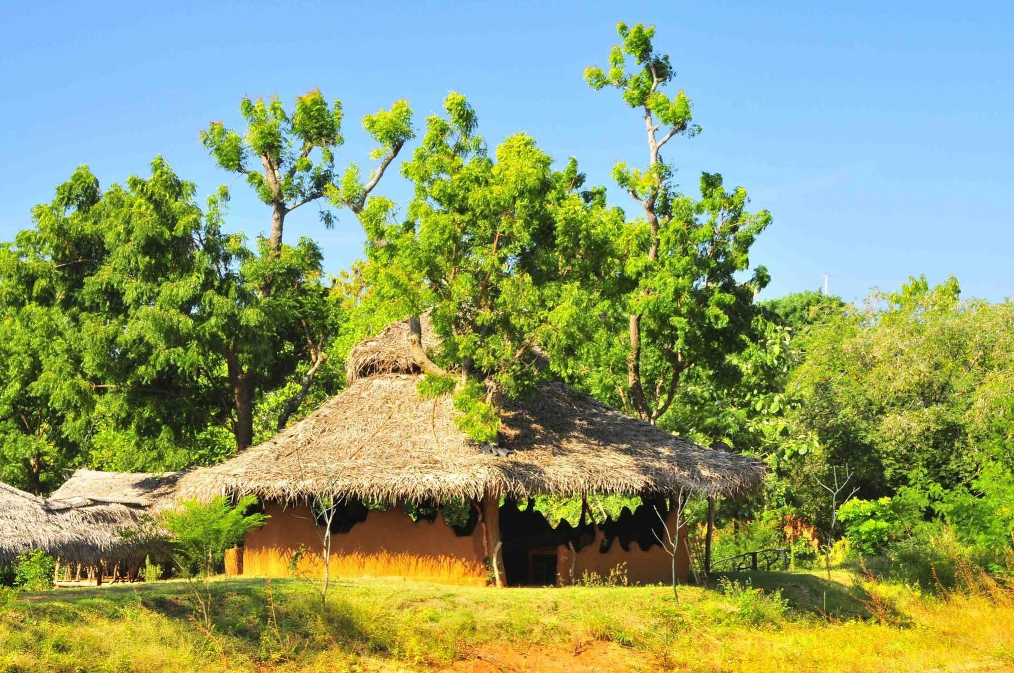 Yala Beddegama Eco Hotell Kataragama Exteriör bild